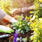 Let the Growing Begin! Make a Fresh Meal.