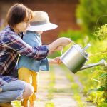 Grow Your Own Back Yard Garden For Better Life.